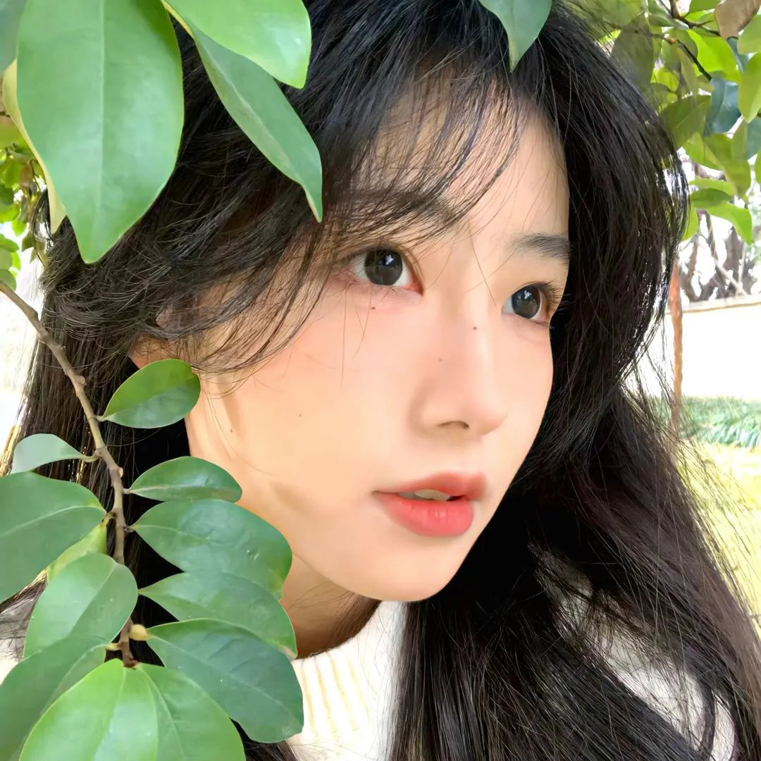 新版：妻子的反击